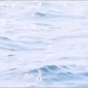 Meet your Posher, Lilly